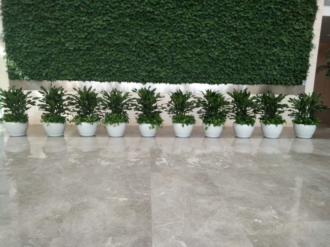 西咸管委會大廳