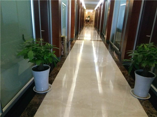 西安大明宮集團綠植租賃