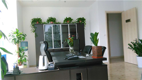 西安金鷹廣場綠植租擺