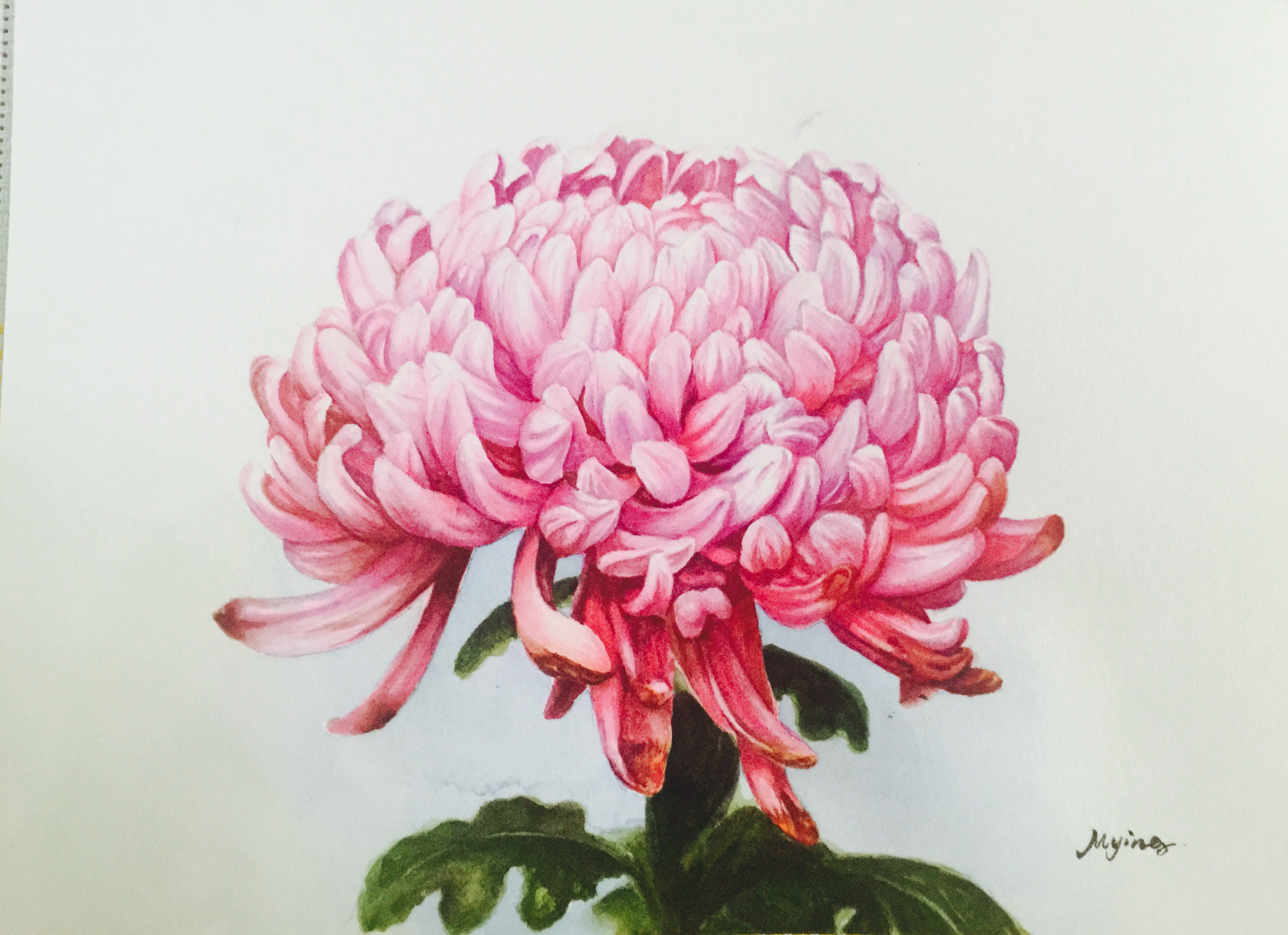 山東省蘭花協(xié)會換屆選舉