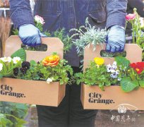 疫情后,美國(guó)園藝產(chǎn)業(yè)將呈現(xiàn)六大趨勢(shì)