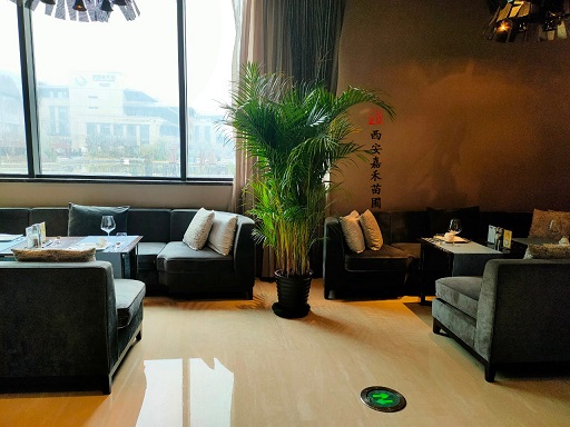 西安辦公室綠植價(jià)格明細(xì)表|西安嘉禾苗圃 西安辦公室綠植價(jià)格明細(xì)表|西安嘉禾苗圃