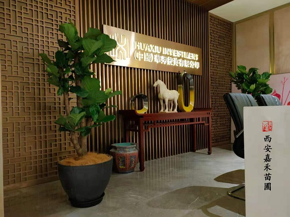 西安辦公室綠植租擺怎么放，才能凸顯大氣格調(diào)