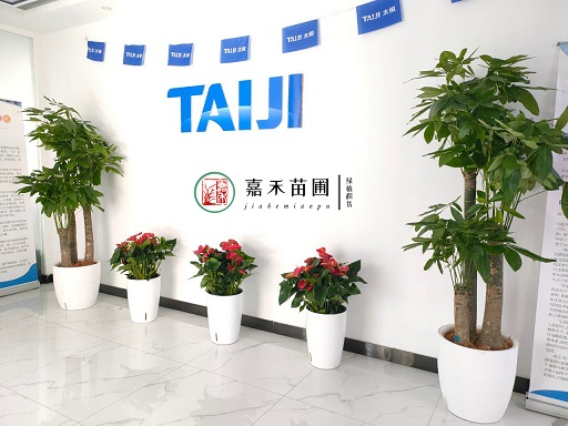 西安辦公室綠植租擺前臺(tái)|西安嘉禾苗圃 西安辦公室綠植租擺前臺(tái)|西安嘉禾苗圃