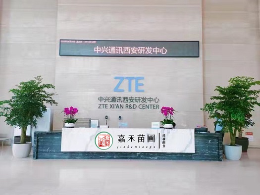 西安辦公區(qū)花卉綠植租賃布置|西安嘉禾苗圃