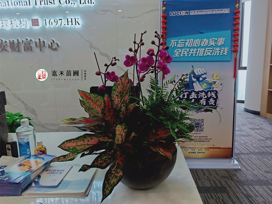 辦公室租賃綠植改善員工幸福指數(shù)！