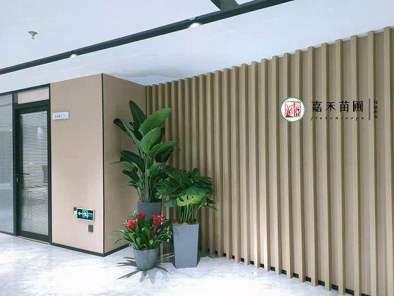 如何選擇辦公空間綠植租擺裝飾？