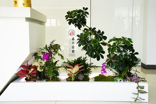 輕奢辦公室綠植租賃的創(chuàng)意設計！