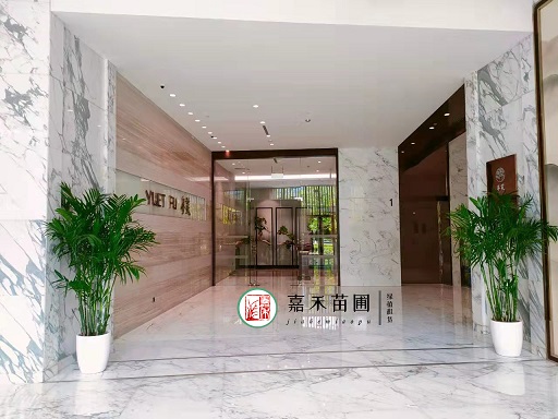 花卉綠植租賃公司|西安嘉禾苗圃