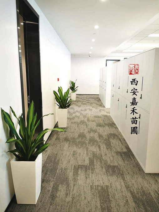 西安綠植租賃服務(wù)|西安嘉禾苗圃 西安綠植租賃服務(wù)|西安嘉禾苗圃