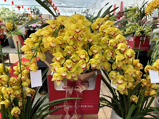 西安花卉租賃年宵花|西安嘉禾苗圃